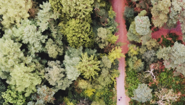 Aplazamiento del EUDR: una oportunidad para hacer las cosas bien (de una vez)